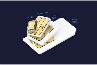 ESIMS